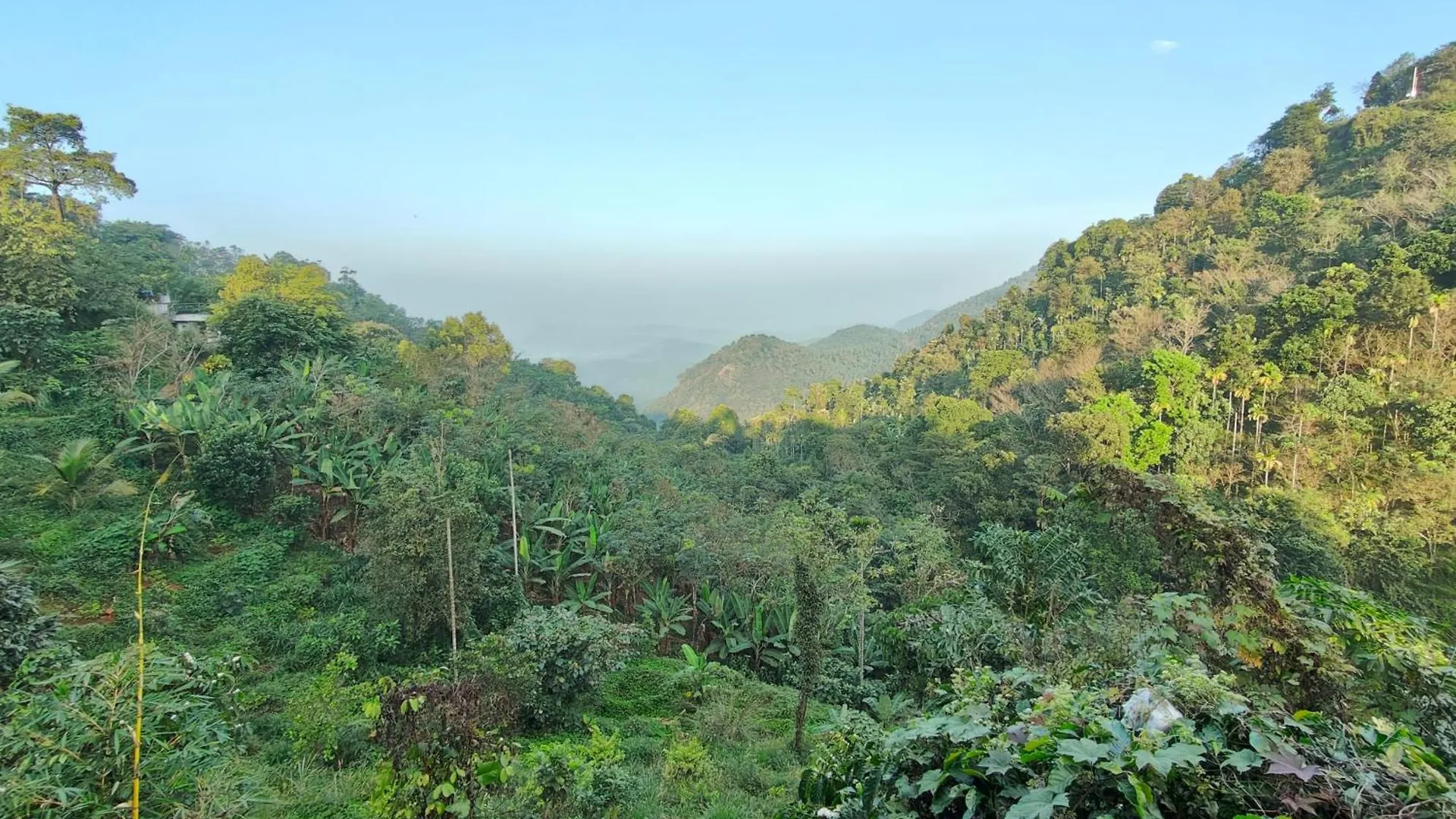 Neav At The Misty Valley Kakkadampoyil Inde